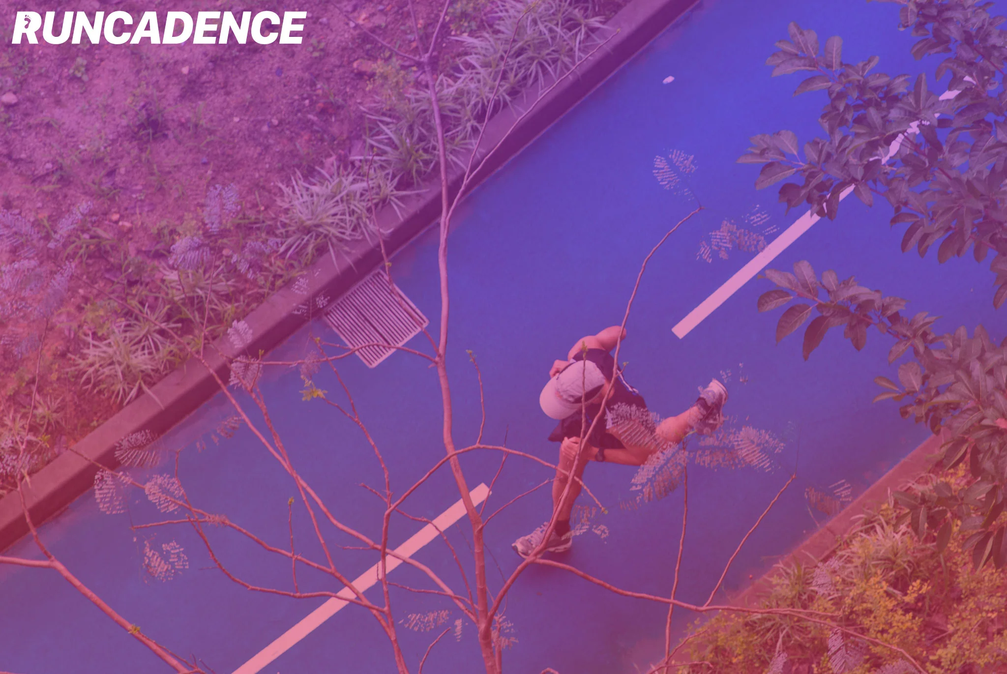 Run-Cadence-Tokyo.jpg