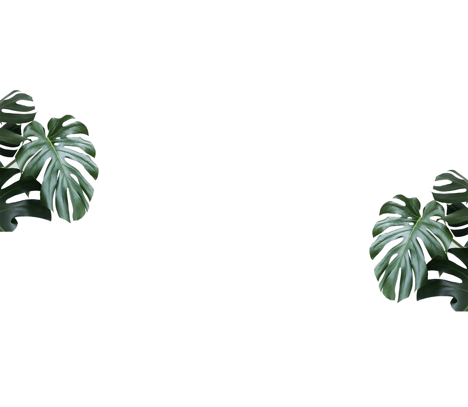Our client background.jpg