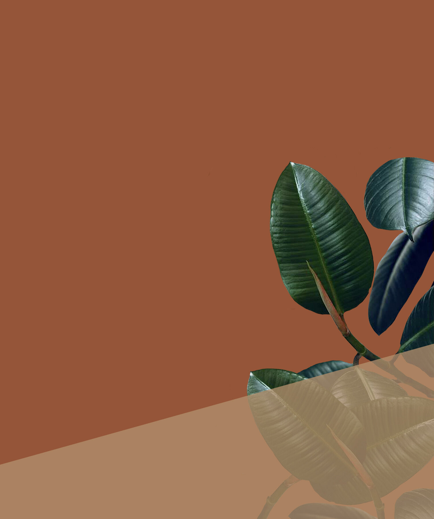 Main image.jpg
