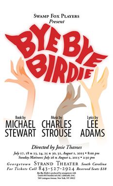 bye bye birdie poster_sm.jpg