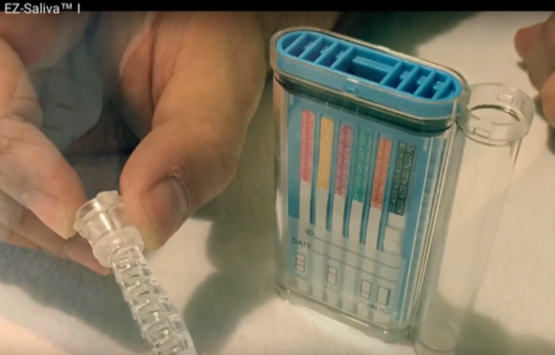 Screen Shot 2018-06-05 at 12.40.23 PM.png