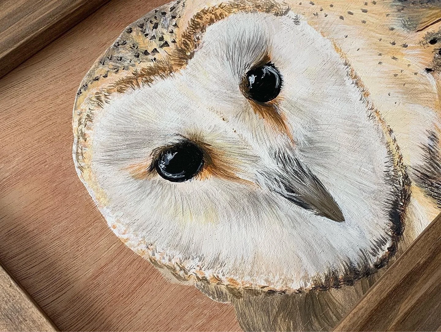 Wildlife