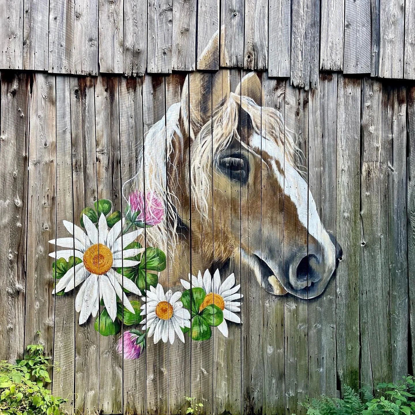 Realistic Horse, rustic barn mural. Exterior wall mural