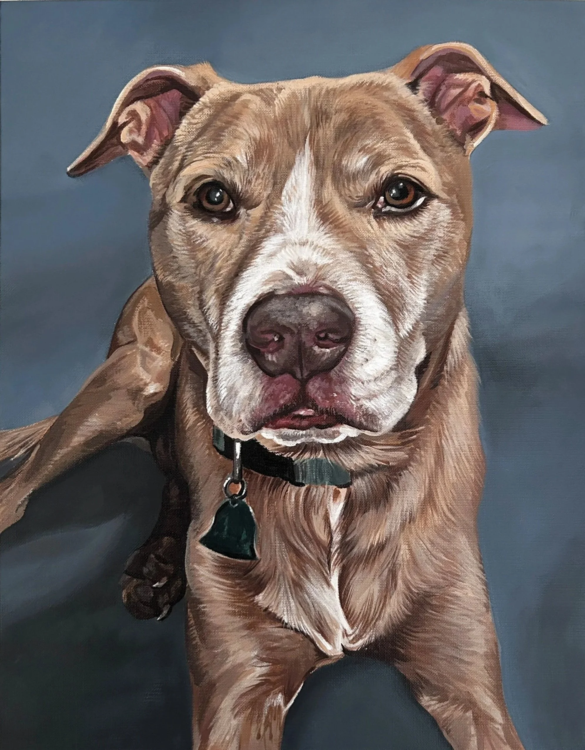 A realistic painting of a brown and white dog with a black collar, sitting against a blue background.