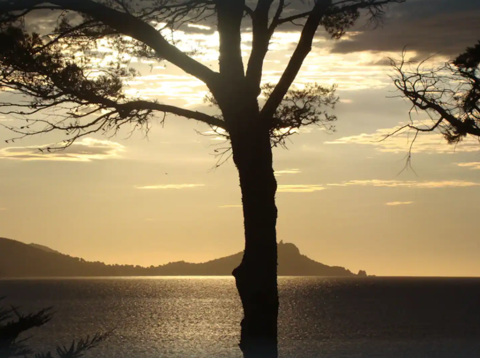 2023-03-14 13_15_17-Window.png