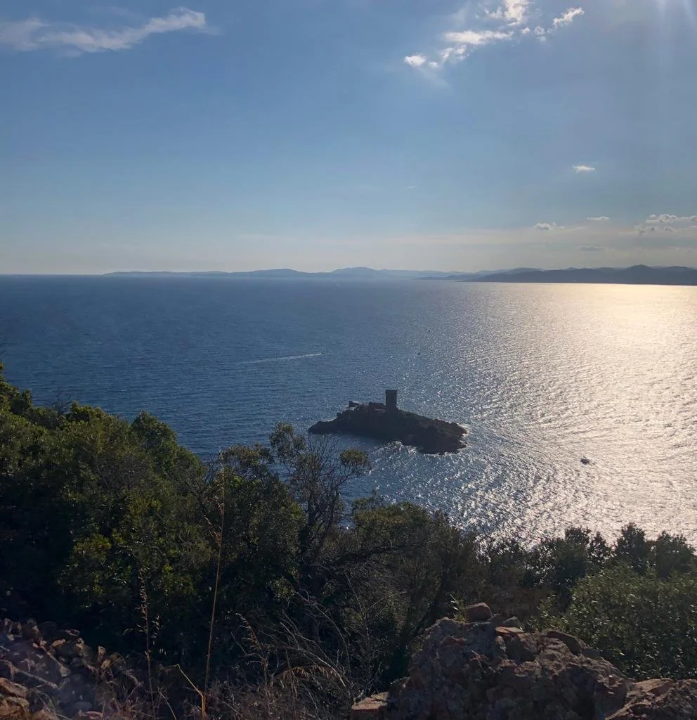 Photo de Vanessa Volckaert(24).jpg