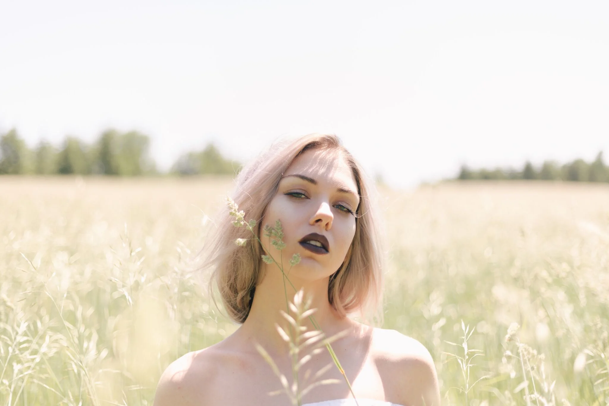 IMG_8026_preview.jpg