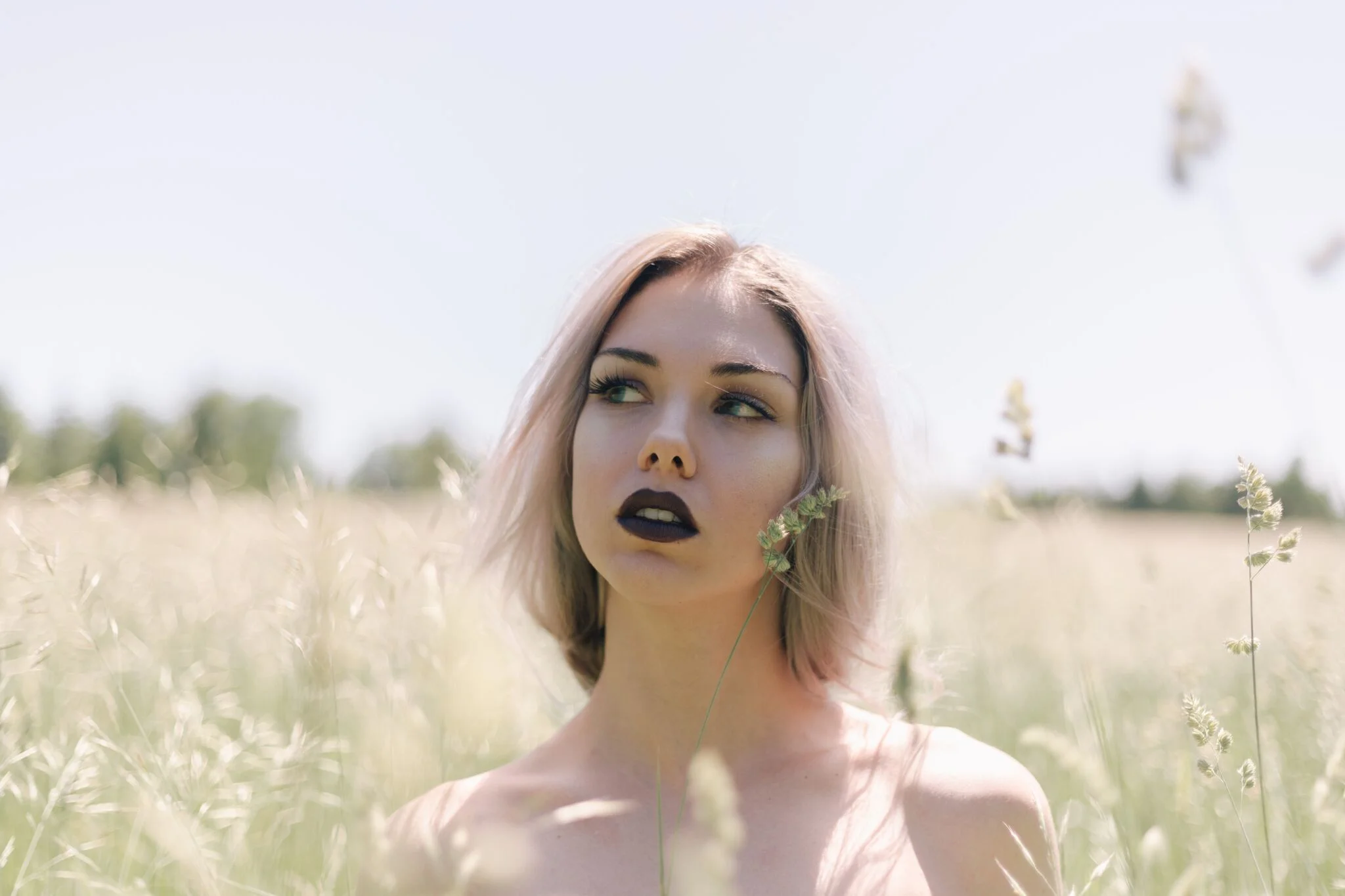 IMG_8046_preview.jpg