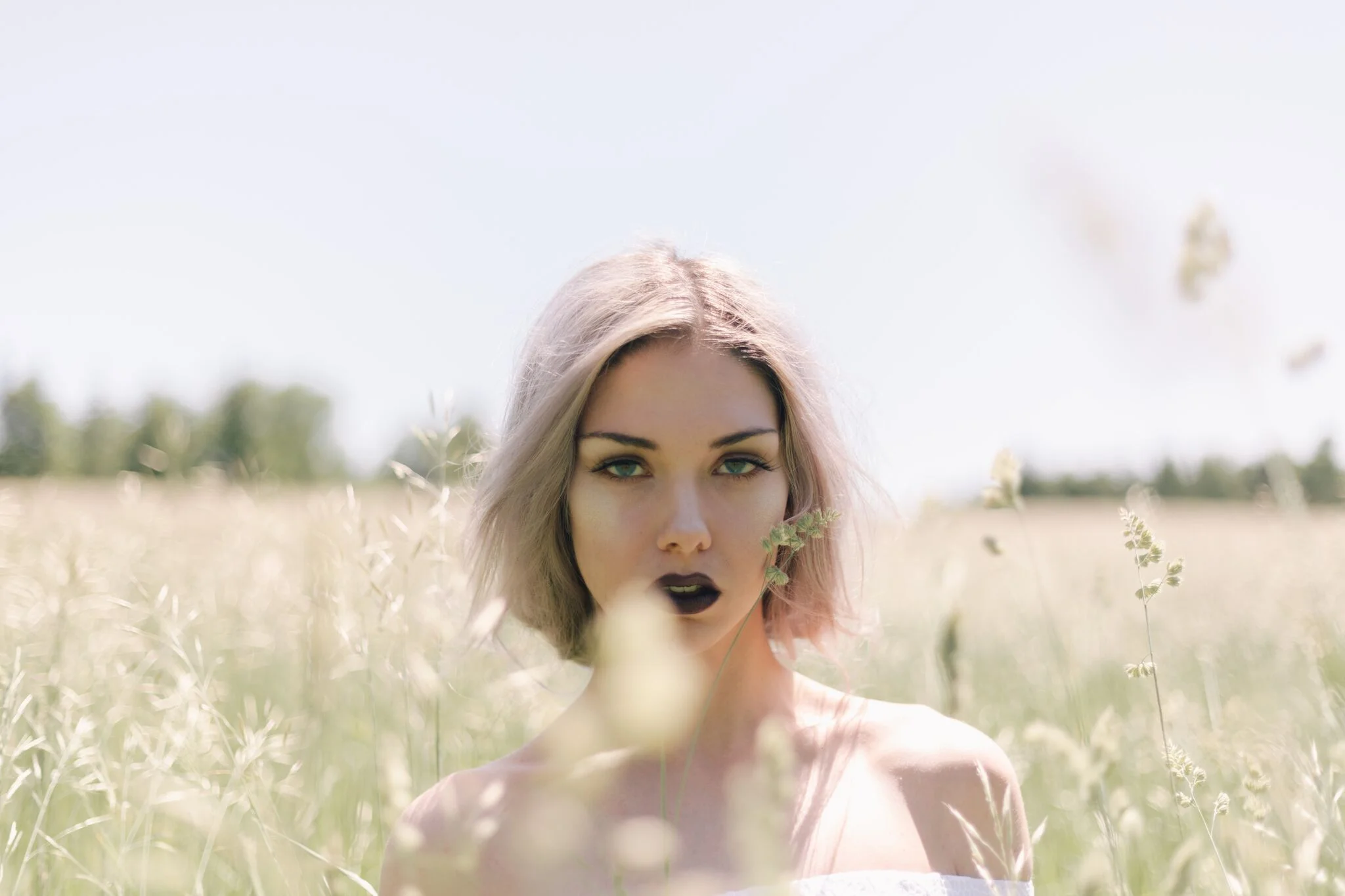 IMG_8048_preview.jpg