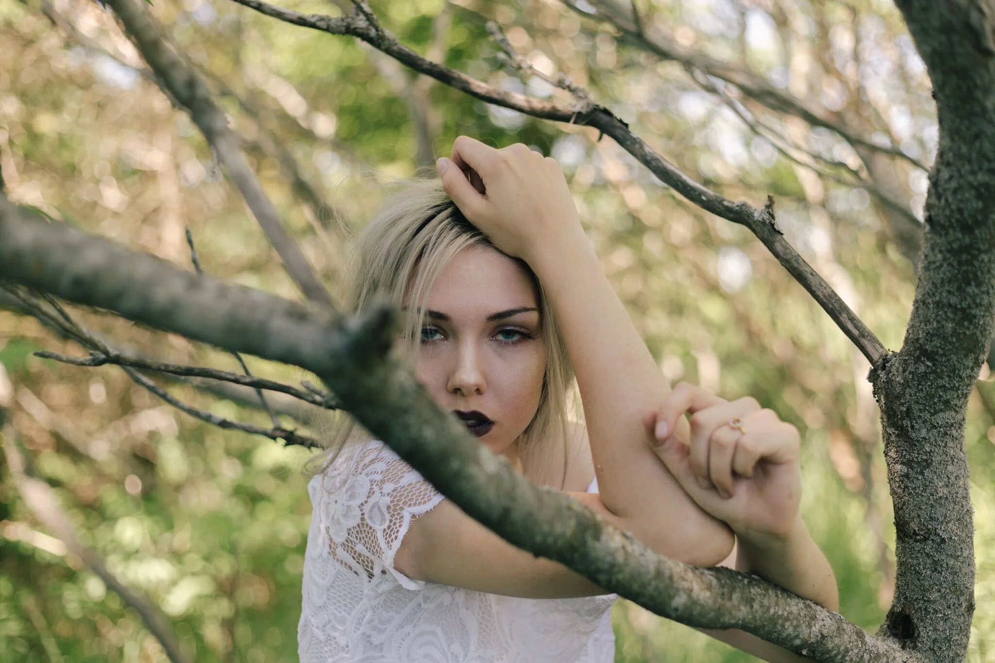 IMG_8241_preview.jpg