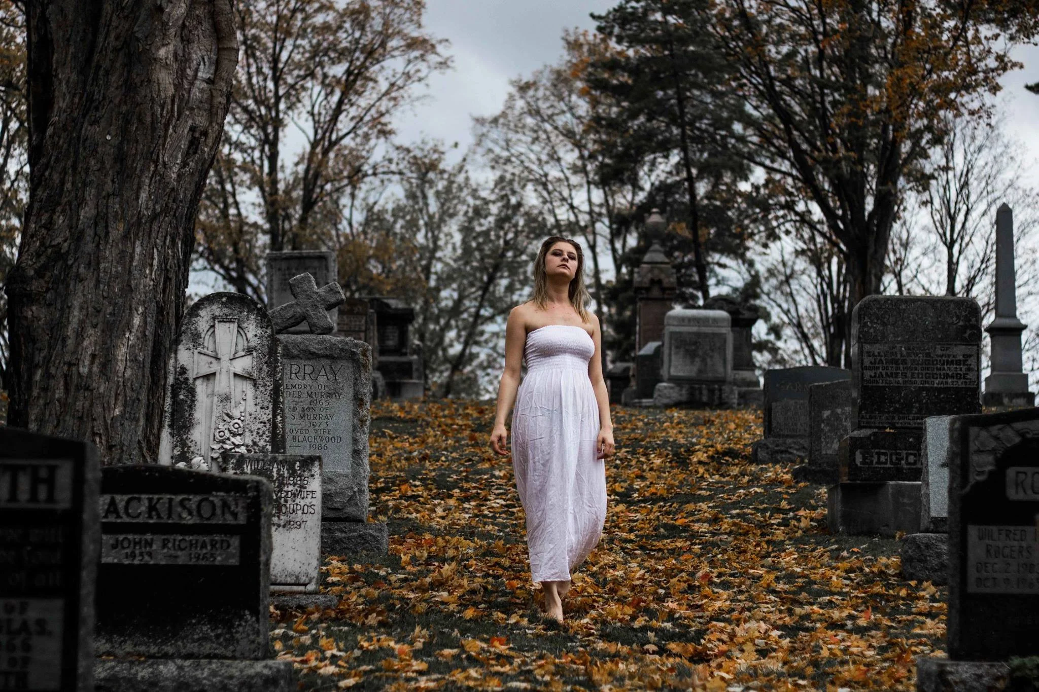 Halloween Photos 