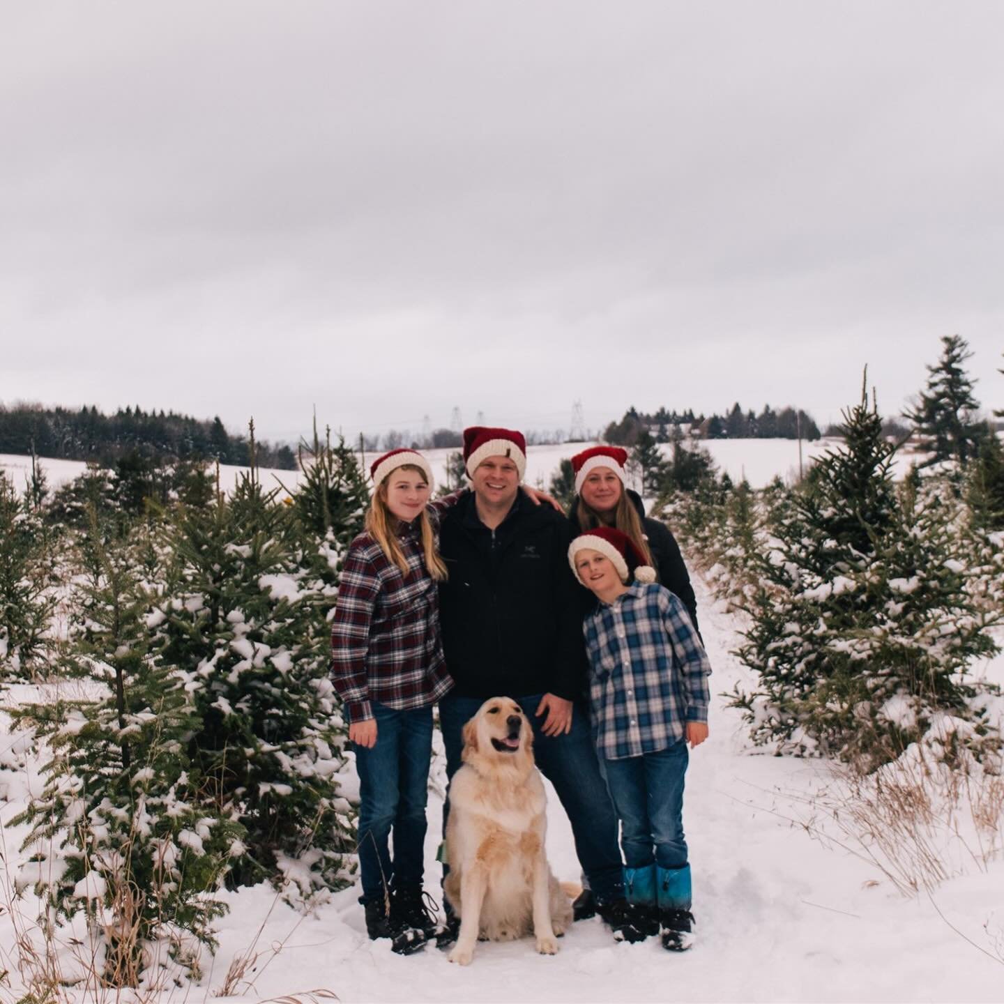 Christmas tree farm session I did for Carly 🌲🎅