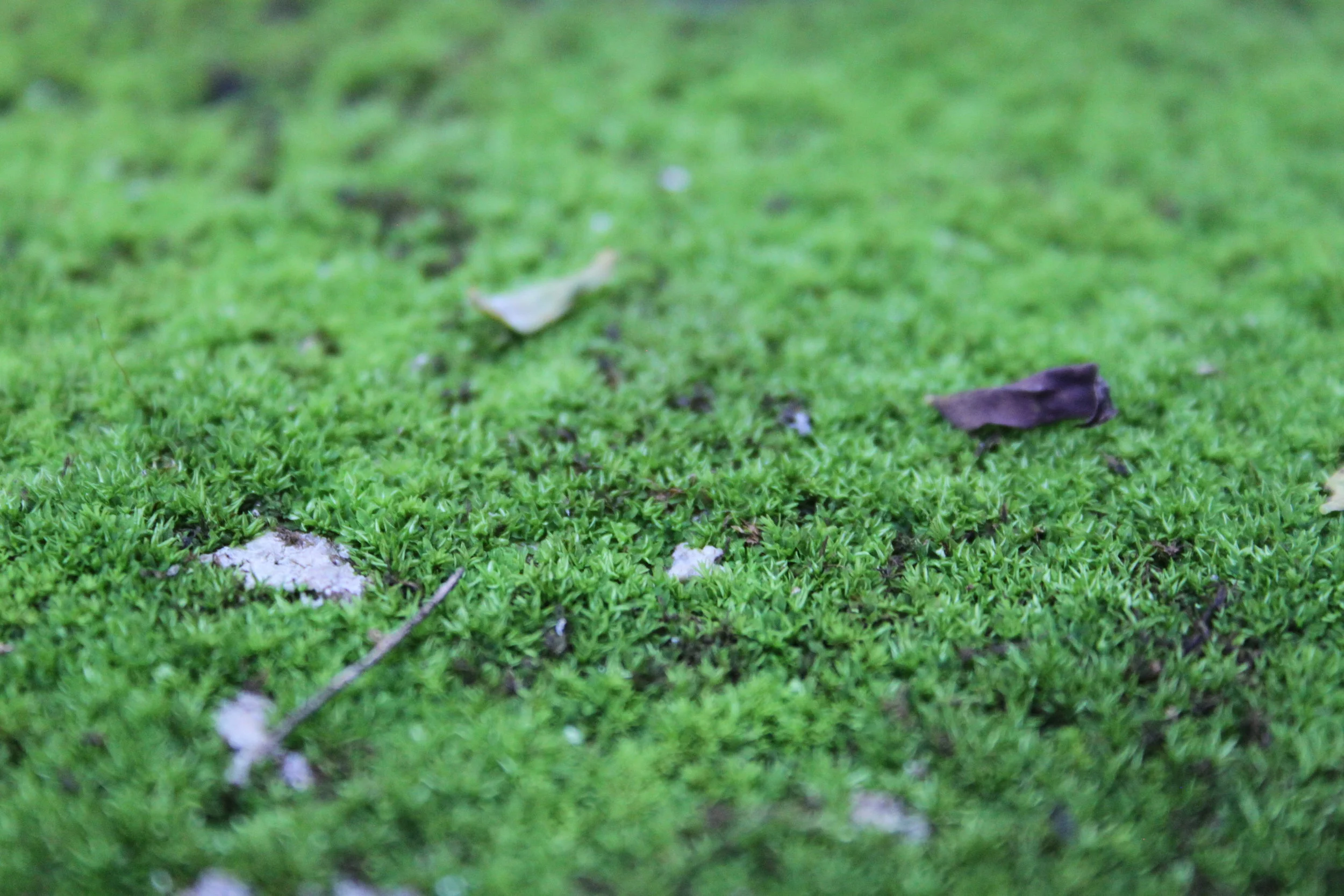 Grounding -  Getting closer to the Earth