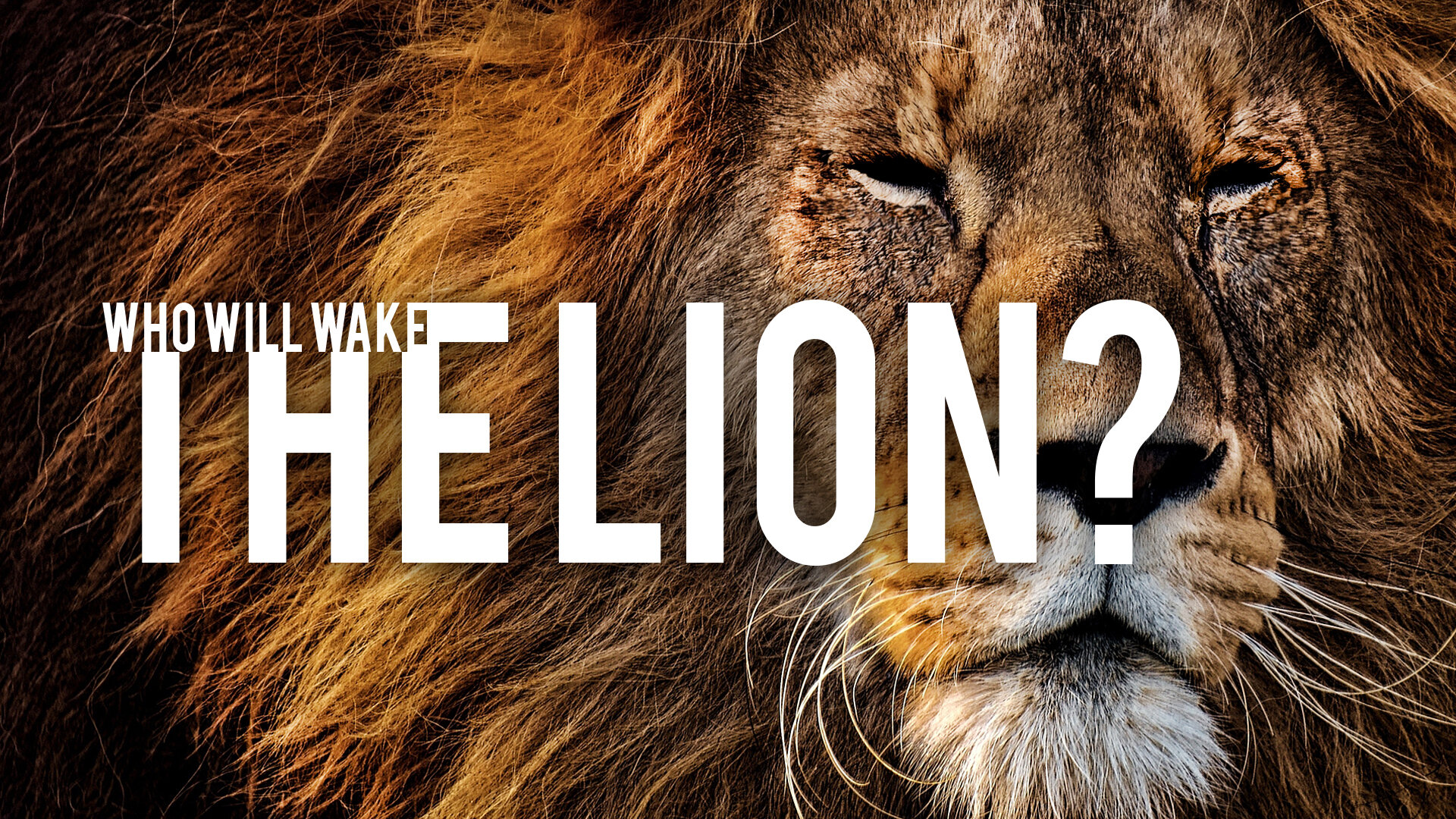 Who Will Wake the Lion