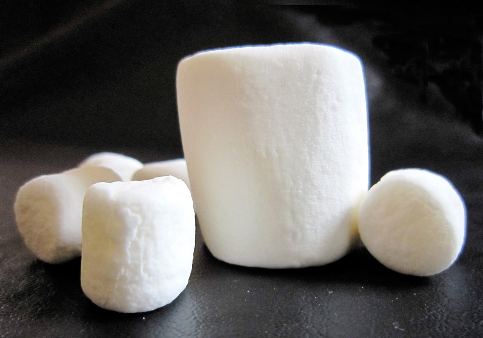 Can you resist eating the marshmallow?