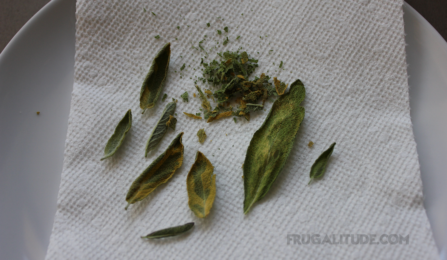 Herbs dried in microwave