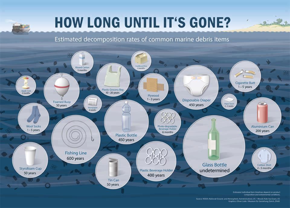Marine Pollution Decompose Rates.jpg