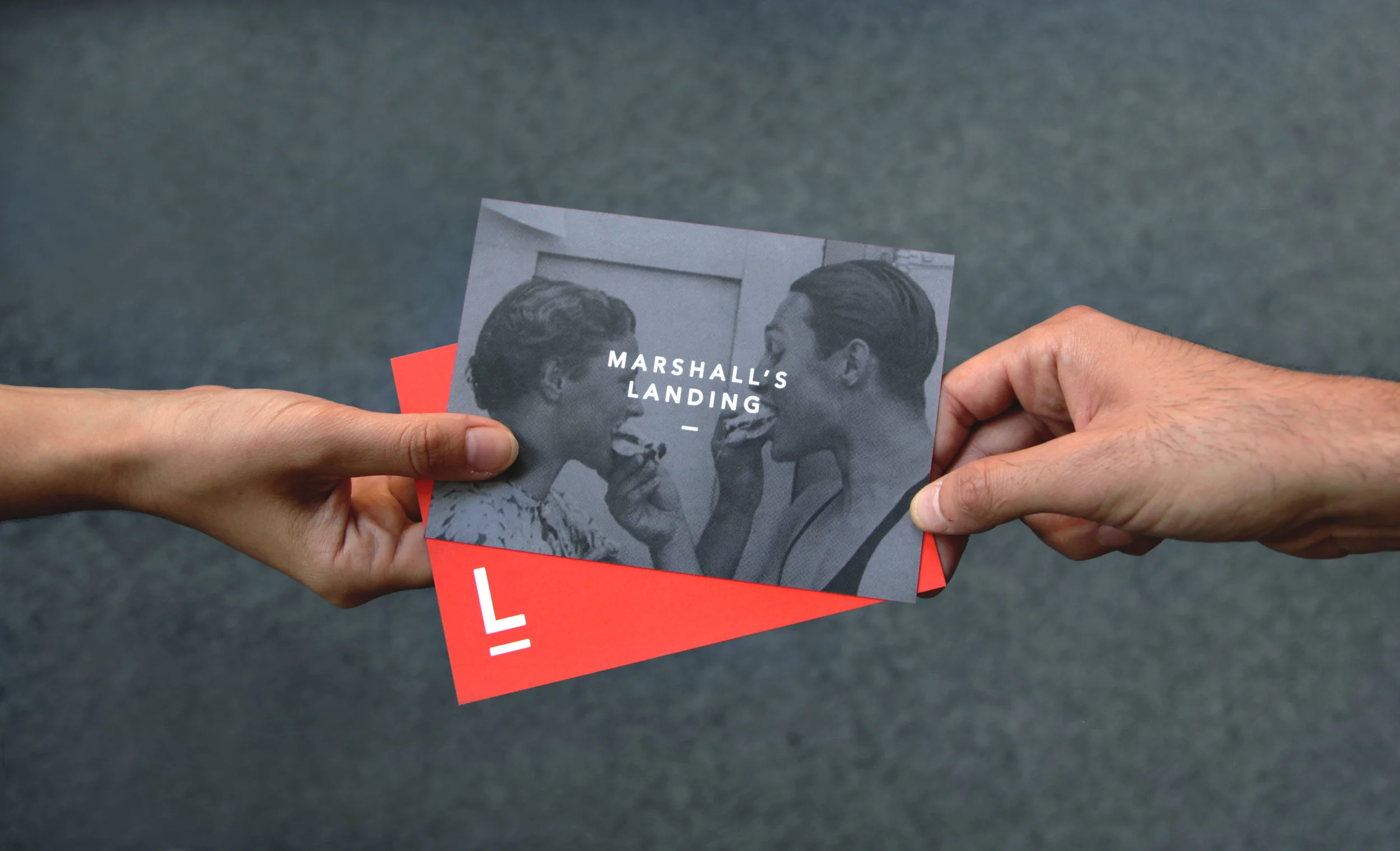 Marshall's Landing Branding