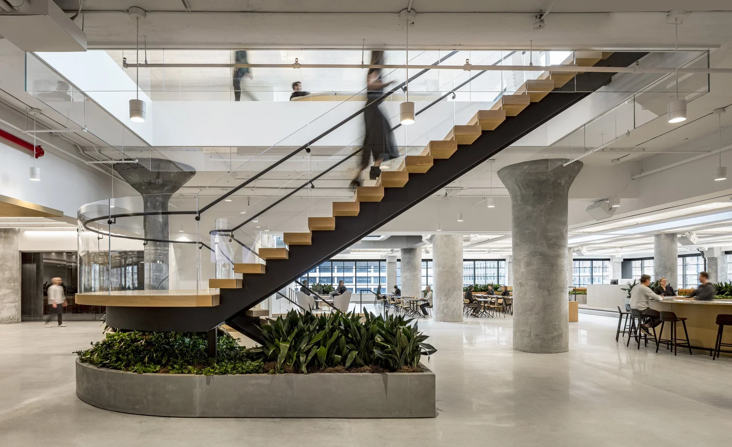 peloton-headquarters-a-i-is-architecture-plus-information