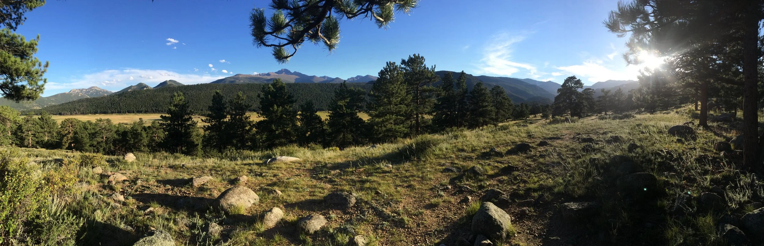 2014-08-17 18.43.04.jpg