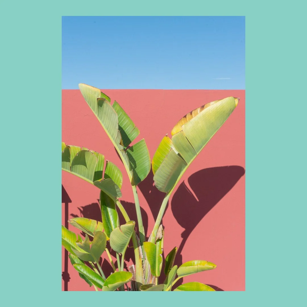 Whitagram-Image 2.JPG