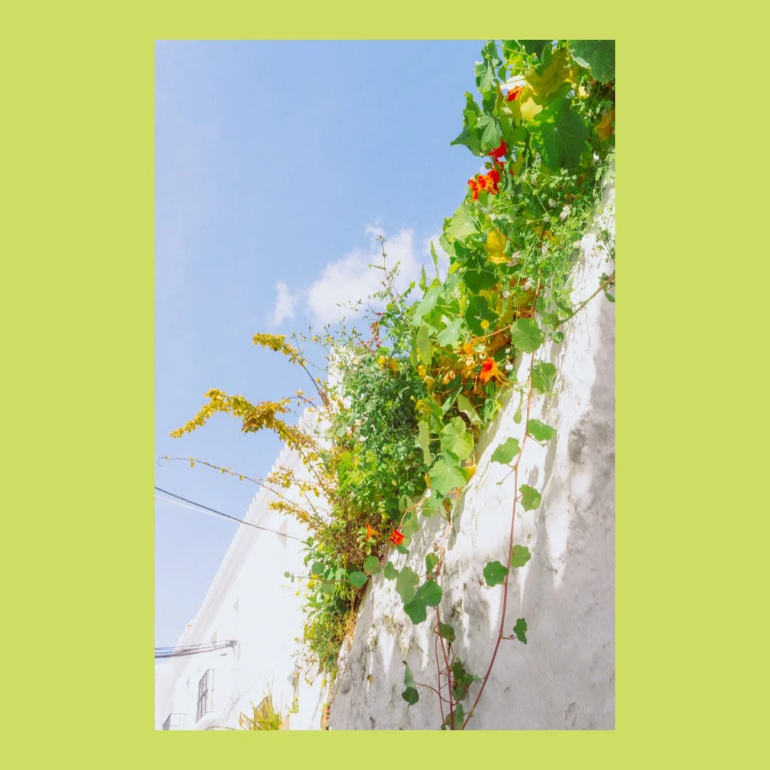 Whitagram-Image 3.JPG
