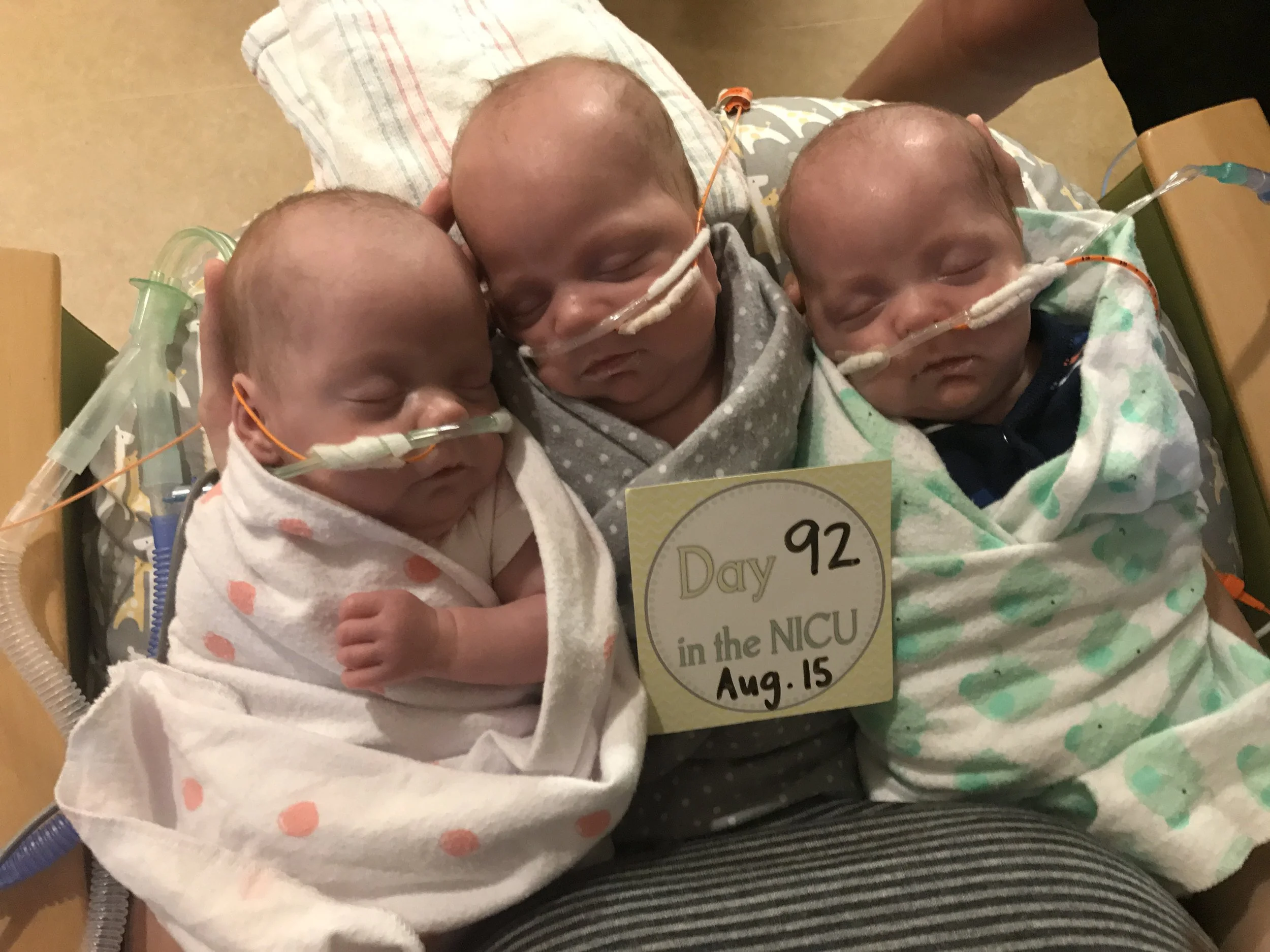 38 Weeks: 97 Days of Life