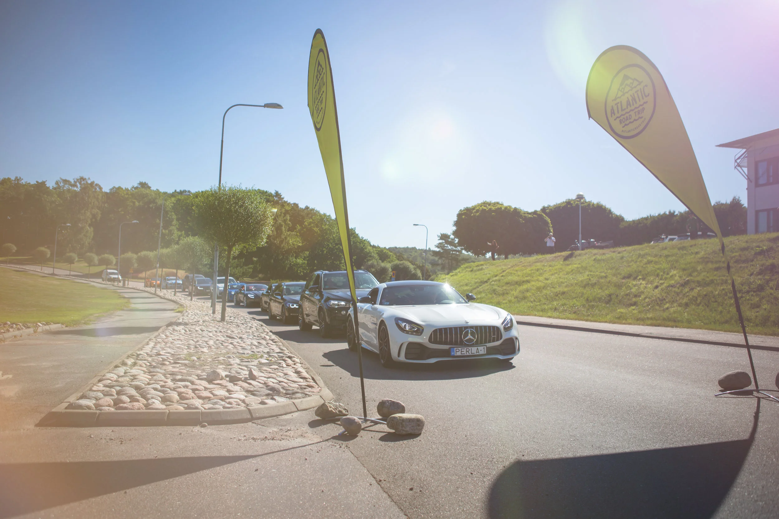 ALP56169-Edit.jpg