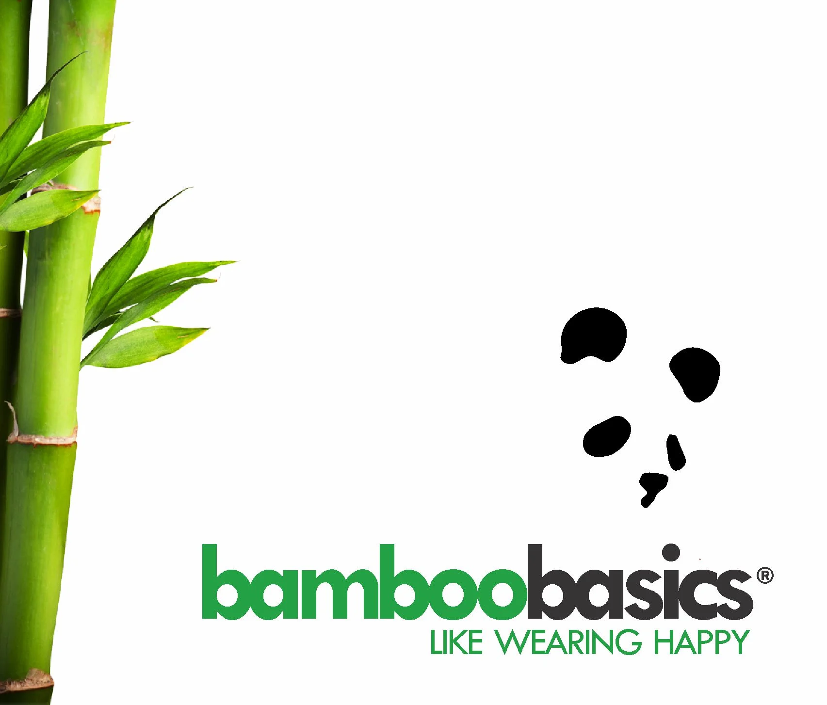 Bamboo 1.jpg
