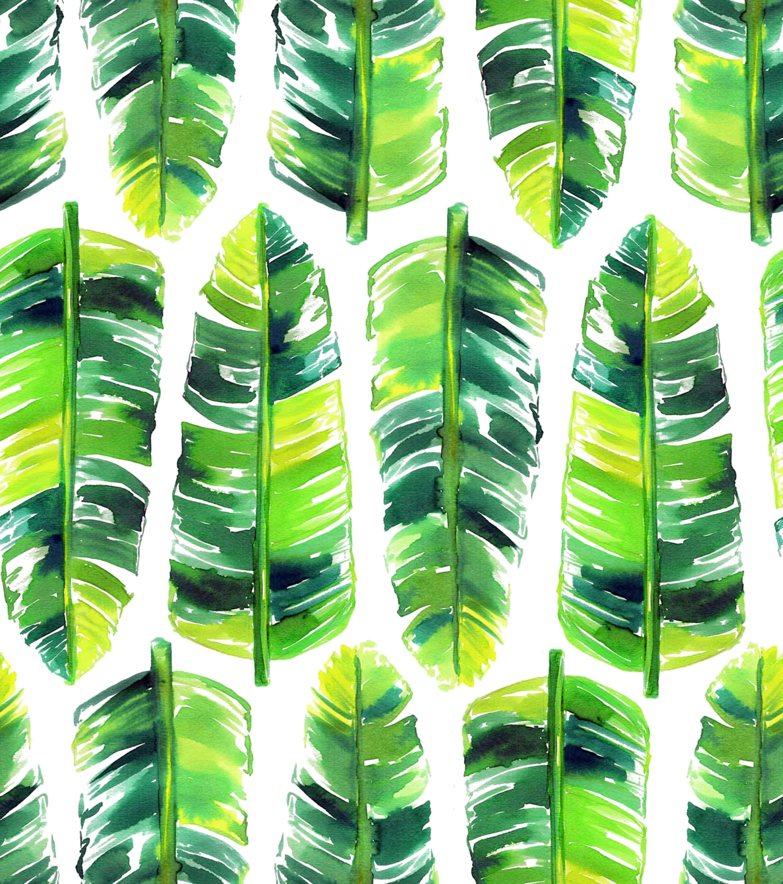 banana leaves.jpg