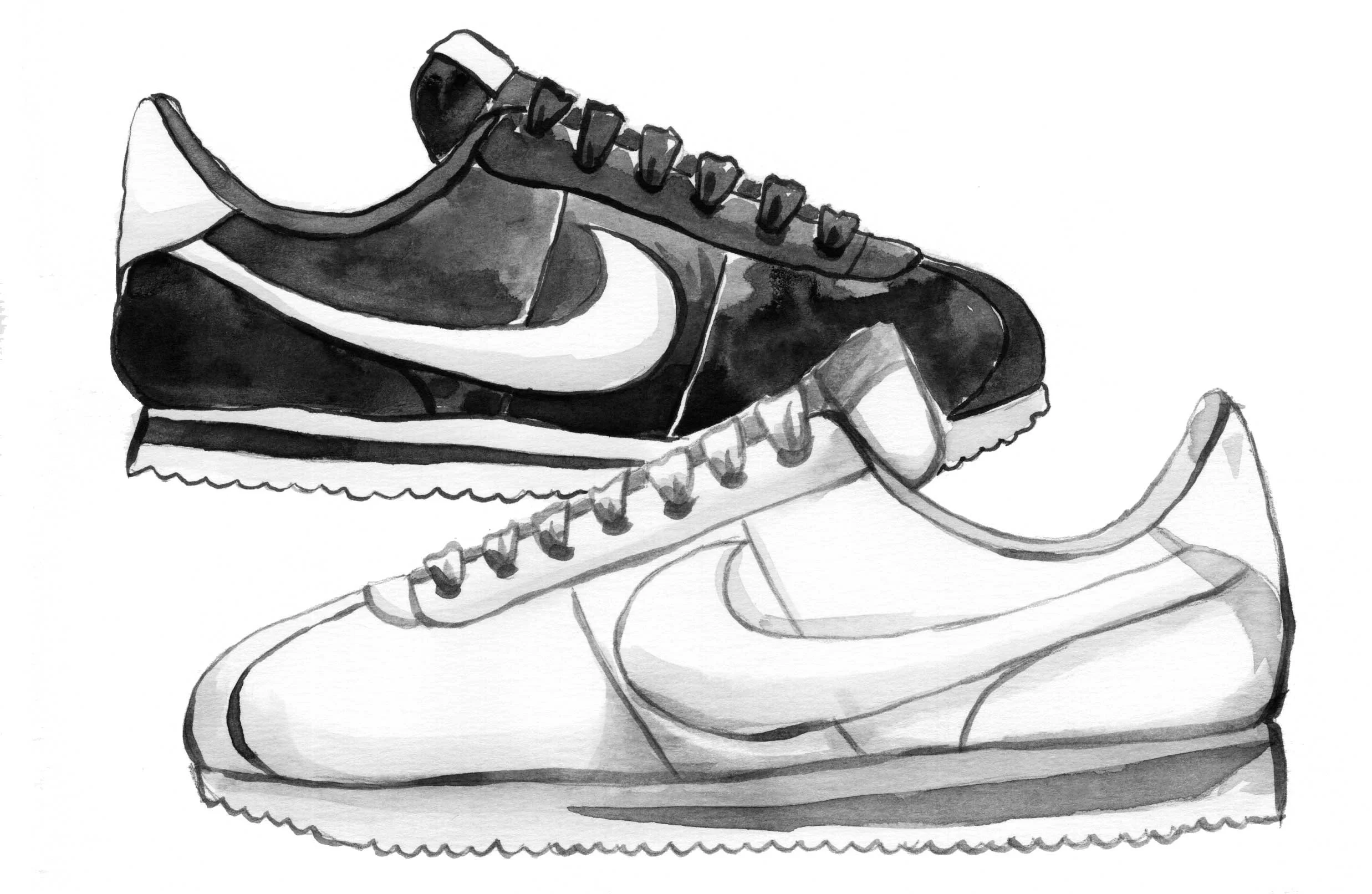 cortez_final.jpg