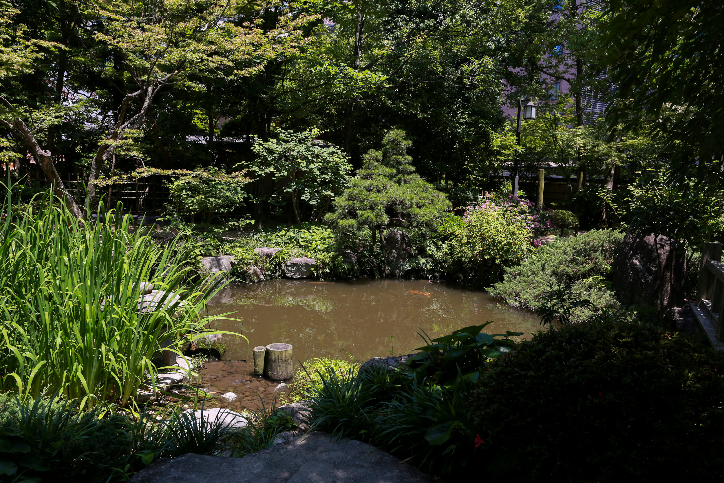  Mid-day views of the main Japanese garden at the Rakusui-en in Fukuoka, Japan, June 22, 2018. 
