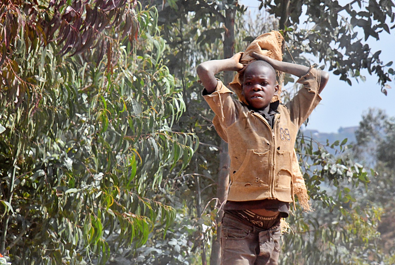 Understanding Displaced Populations Worldwide