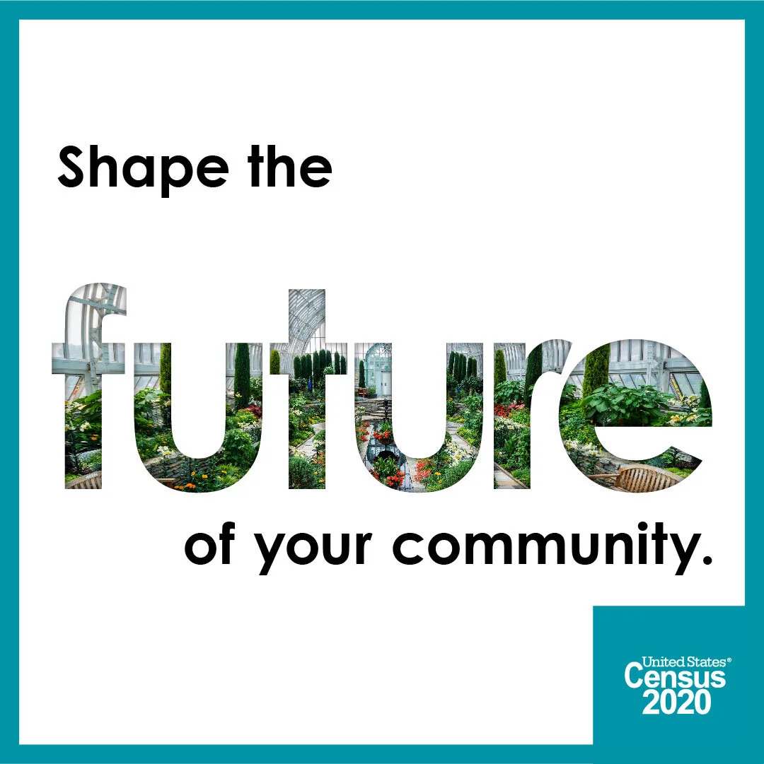Census Resources for New American Communities