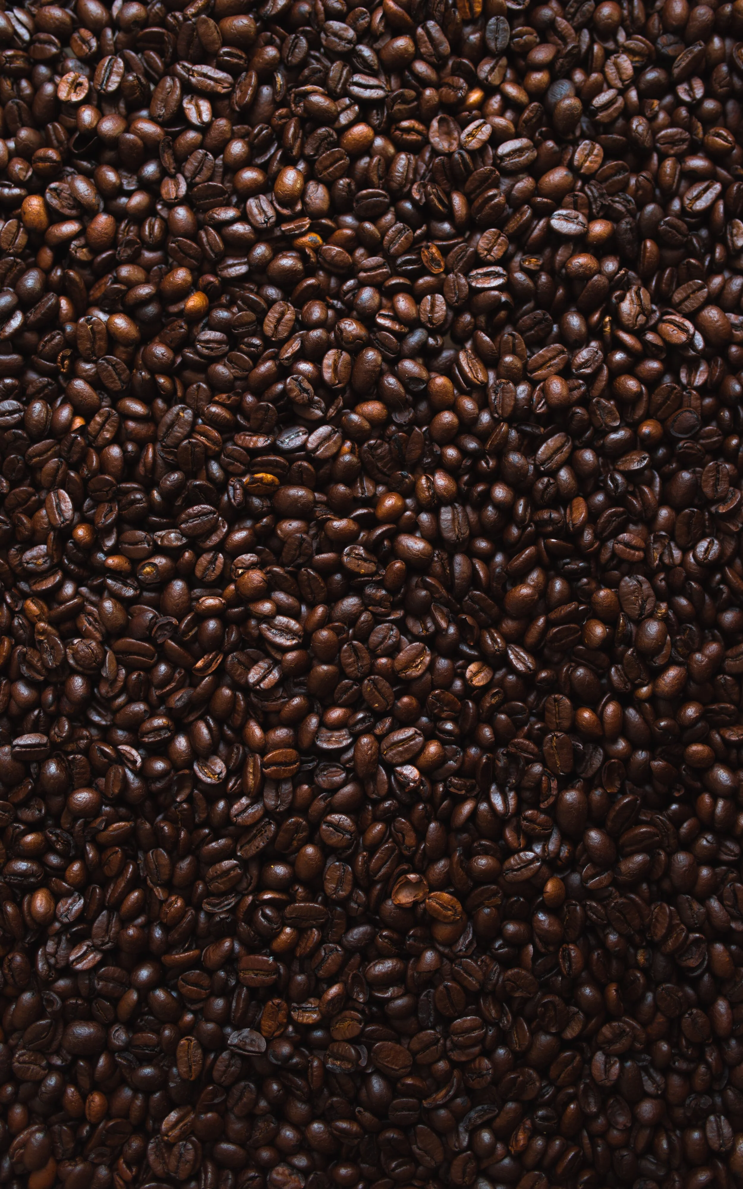 It’s International Coffee Day: Time to Try Rwandan Coffee!
