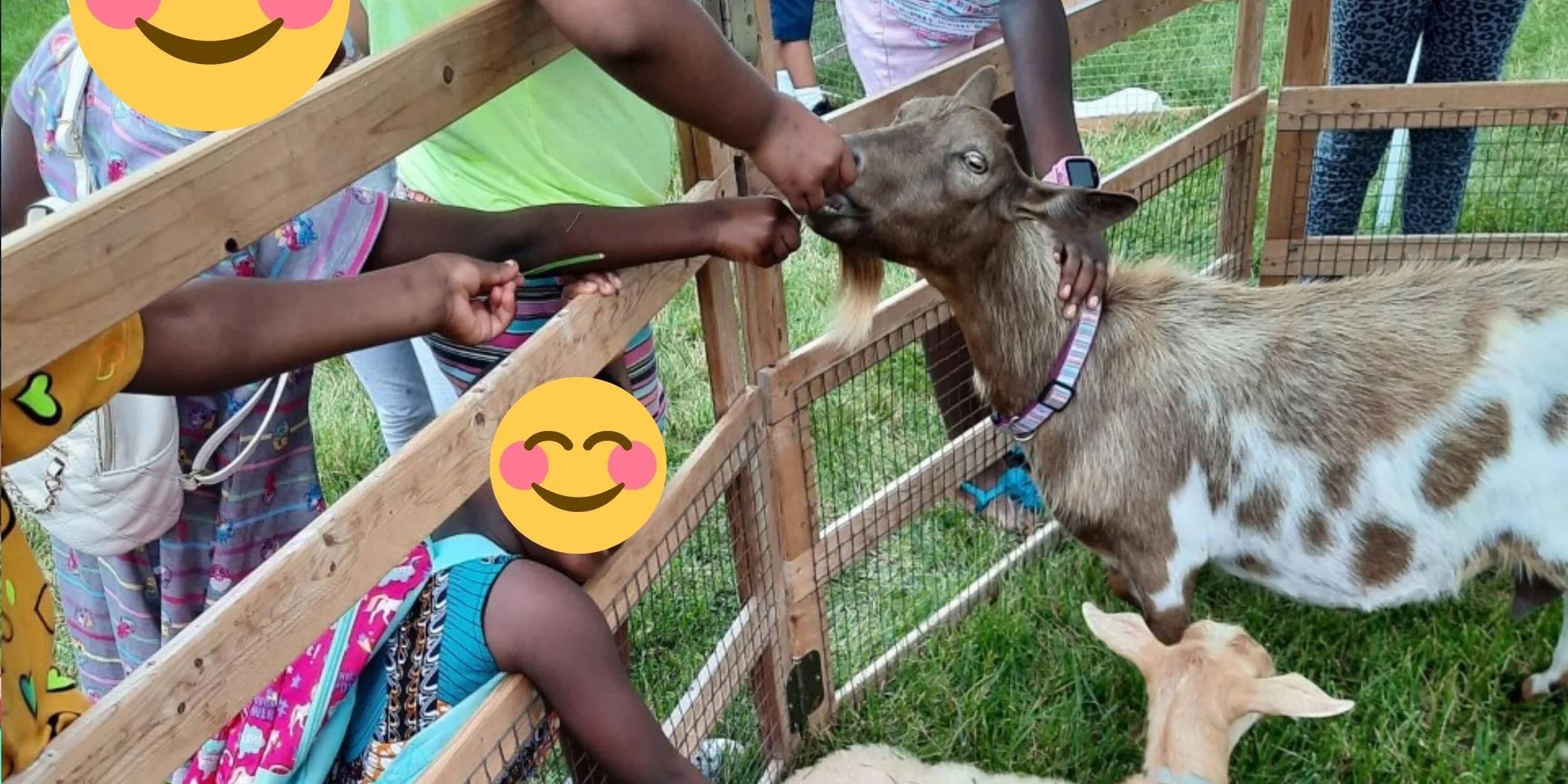 Summer Youth Program Provides Educational Learning Opportunities