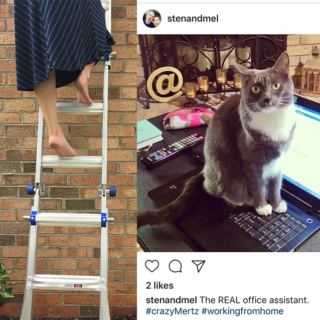 my nerdtastic*bff (er, cousin-in-law) once again came to the rescue and let me take some reference photos of her climbing a ladder (braver than vertigo-me!) to get the movement right for my final sketch. i also used her beautiful kitty mertz to style our own curious kitty.