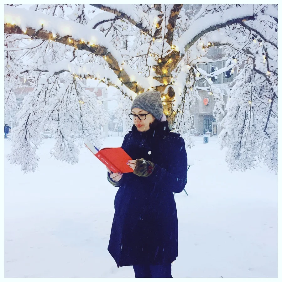 once upon a december.