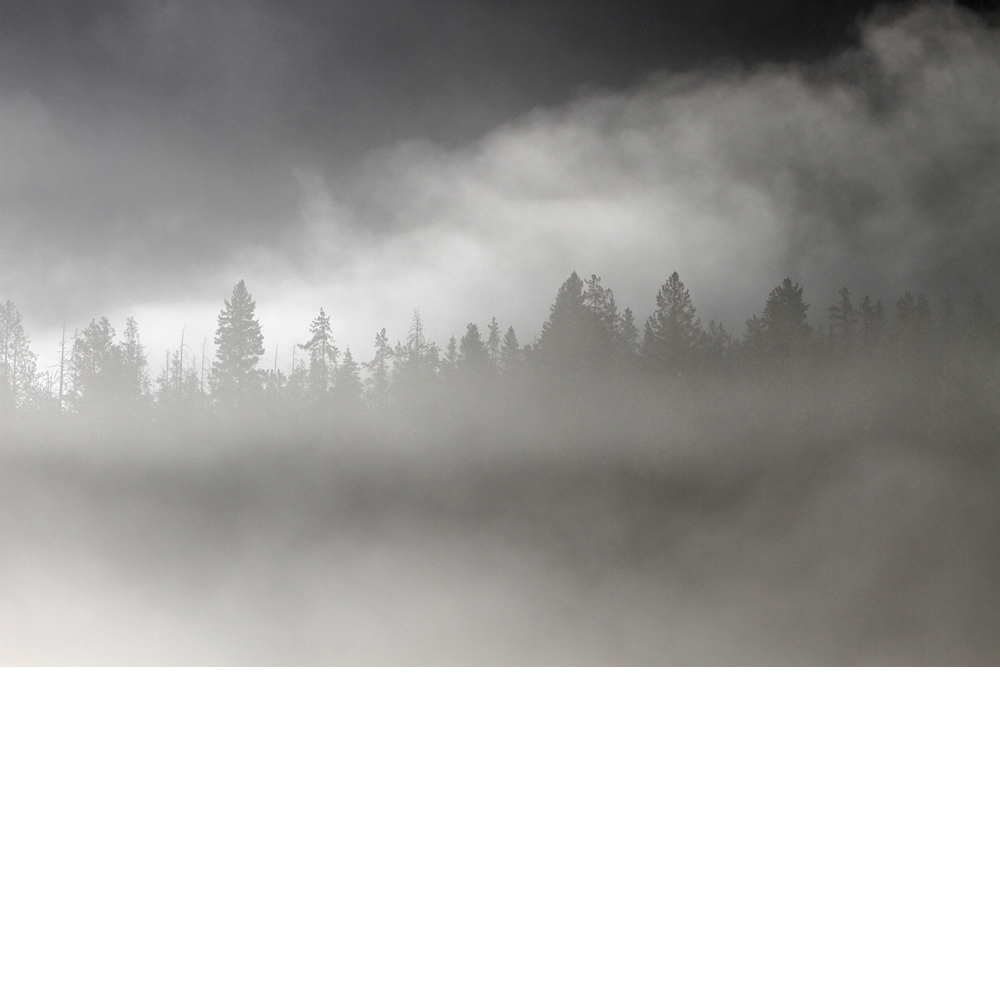 Fog at Pebble Creek_lowres.jpg