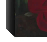 paradise_noframe.jpg