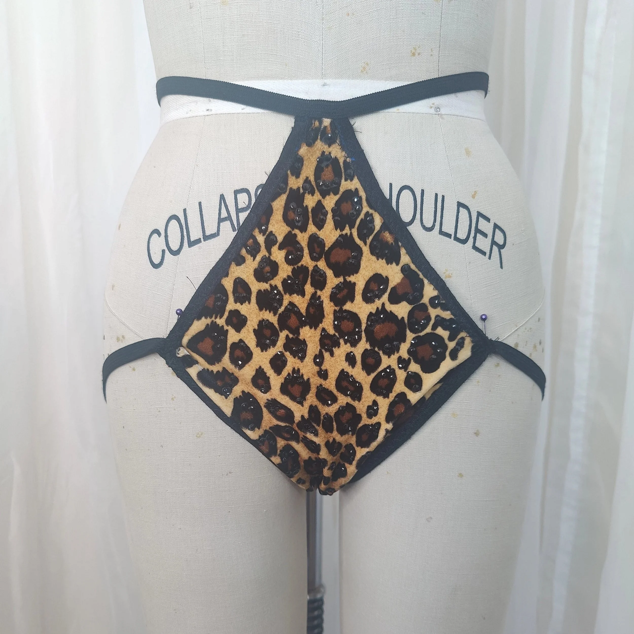 Leopard Cage