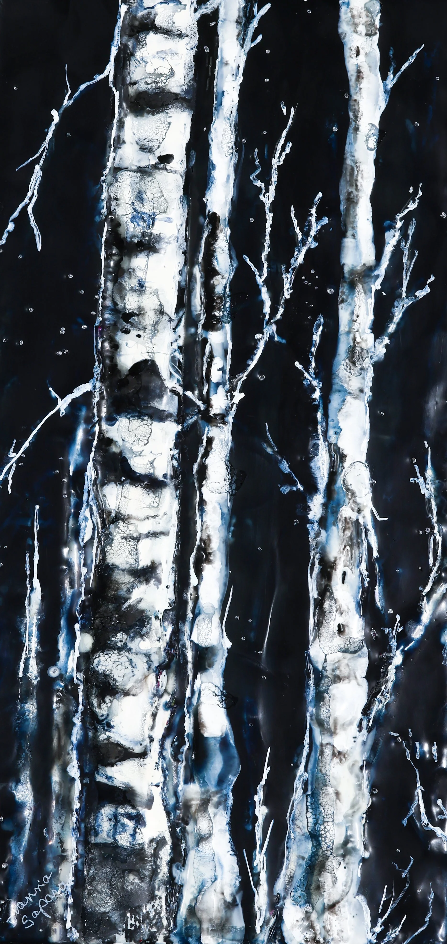 Dark Forests White Pulse