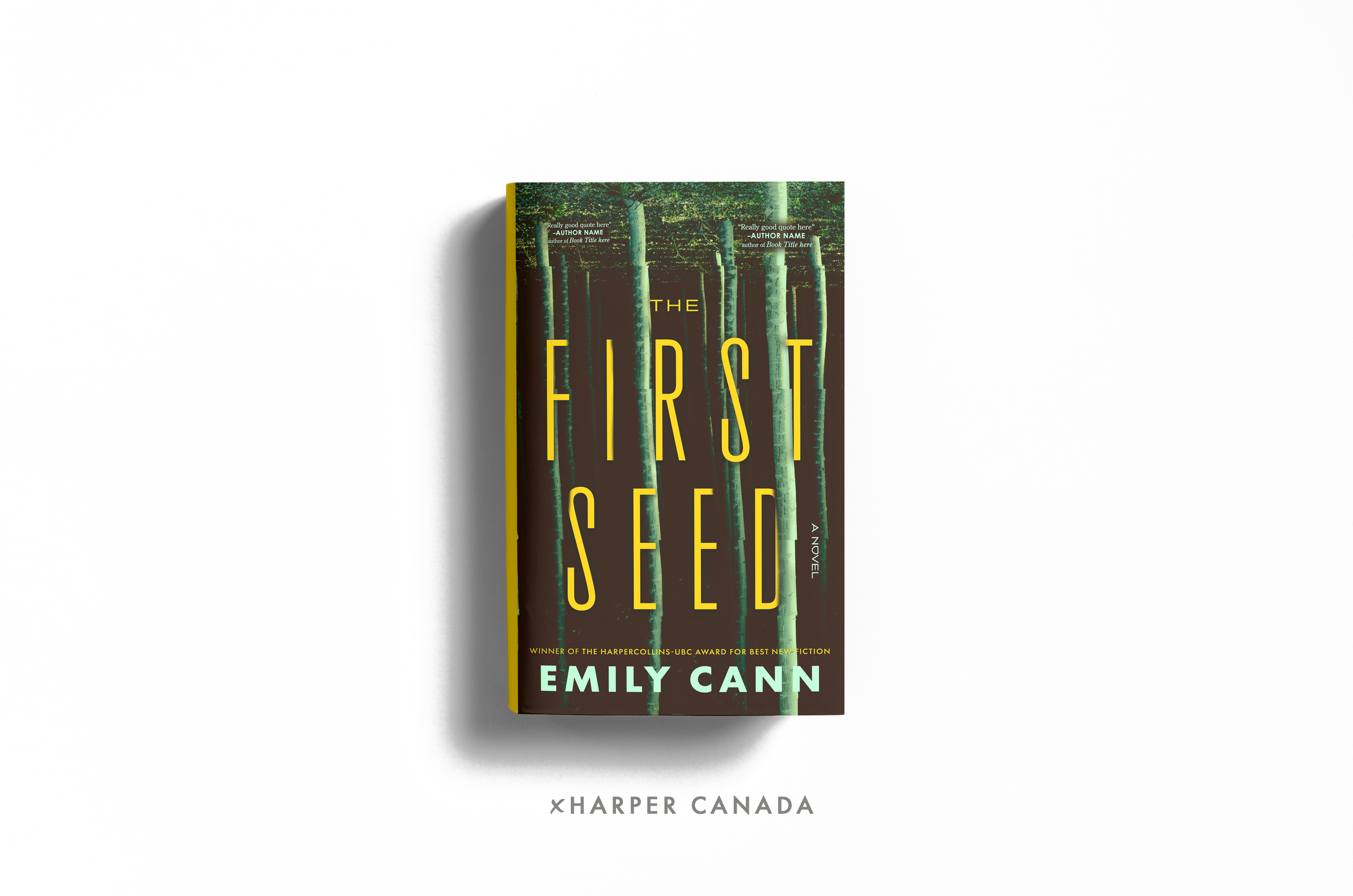 TheFirstSeed_Cover_v1.3.png