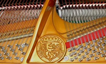 2000seiler5.jpg