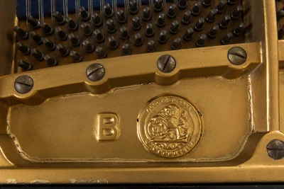 1899BechsteinB-5.jpg