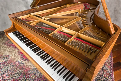 1989SteinwayB-4.jpg