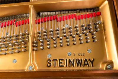 1989SteinwayB-7.jpg