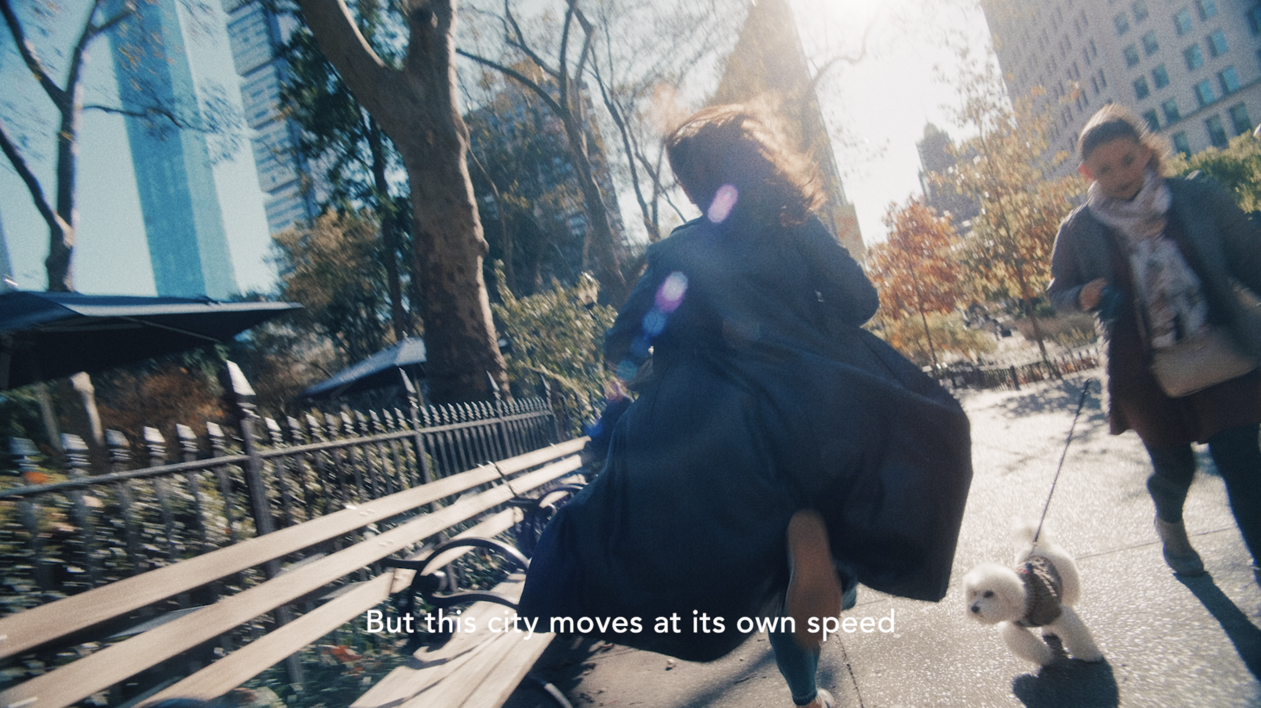 Screen Shot 2019-11-04 at 11.29.55 AM.png