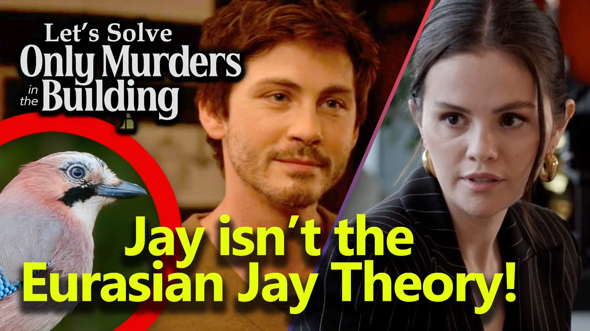 Let's Solve ONLY MURDERS IN THE BUILDING season 5 episode 4 'Dirty Birds' Recap Theory #omitb s5e04