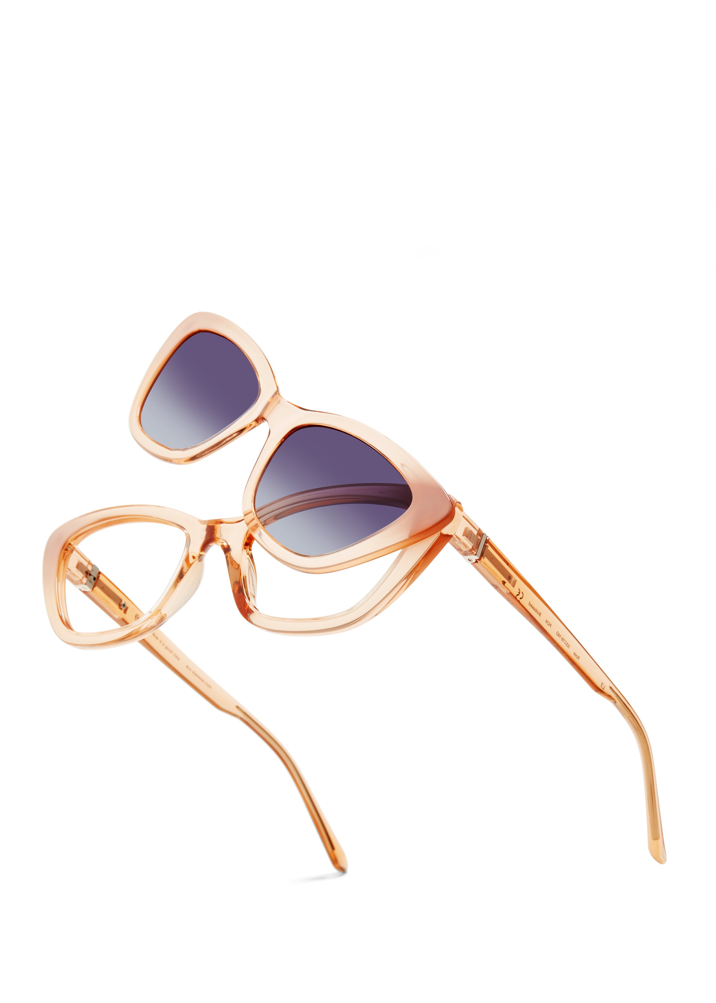 Rose-PCH-30552.JPG